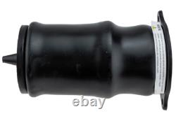 Rear Air Shock Absorber for Mercedes Viano Vito Mixto 6393280101